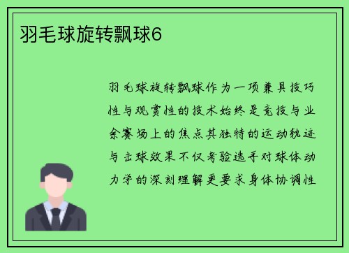 羽毛球旋转飘球6